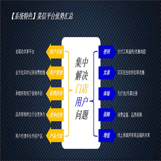 奉賢菜信網絡科技公司 誠信為本，網絡技術服務的可靠之選