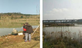 區(qū)畜牧局開展春季漁政巡查，保障畜牧漁業(yè)飼料銷售安全